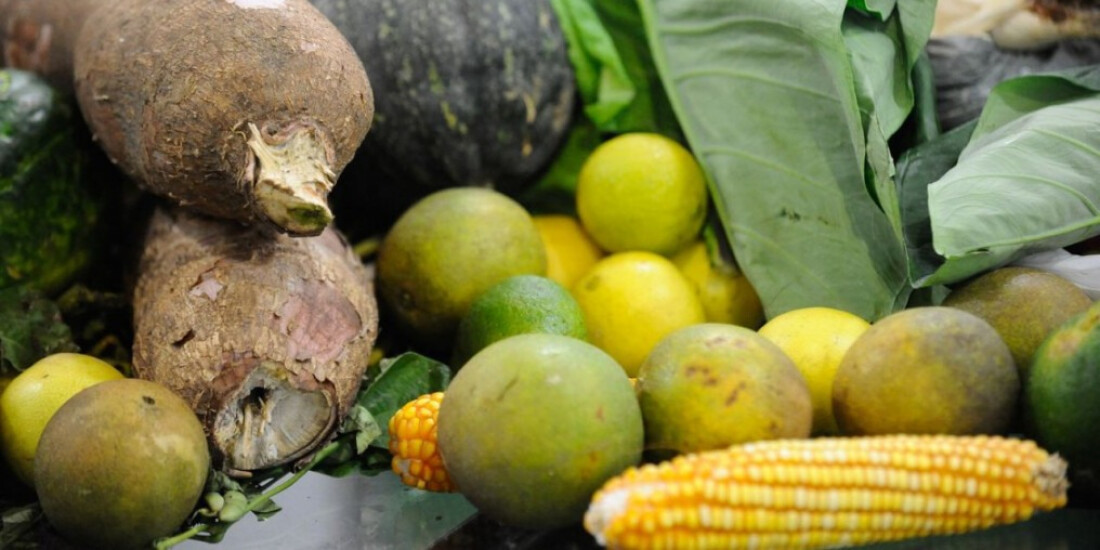 Guia do Ministério da Saúde traz dicas para alimentação de crianças