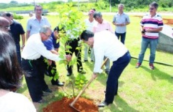 Plantio de mudas marca cerimônia