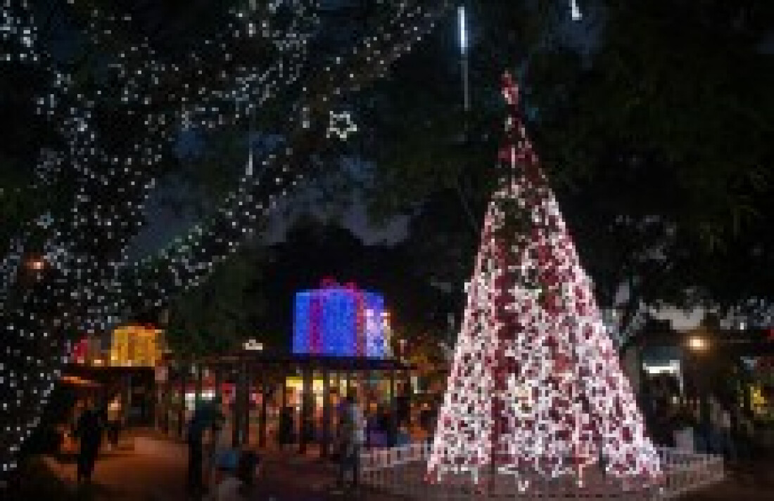 Decorações de Natal ficam disponíveis até o dia 6