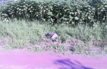 Ajudante leva quatro tiros no bairro Cocuera