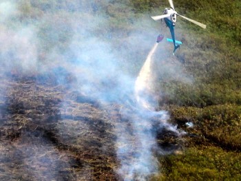 Jornal de Taiaçupeba - por Heródoto Barbeiro