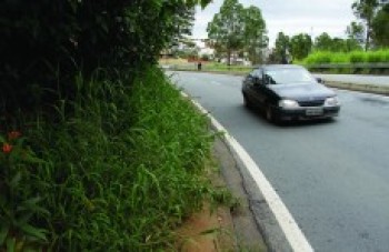 Terreno em César gera reclamações de vizinhos