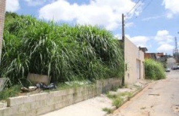 Terrenos são alvos de reclamações
