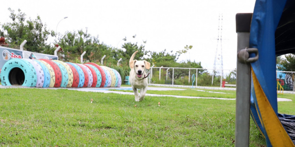 Suzano conquista Centro de Bem-Estar Animal