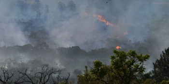 DF abre concurso para contratação temporária de brigadistas