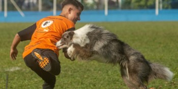 Cidade promove campeonato Brasileiro de Adestramento