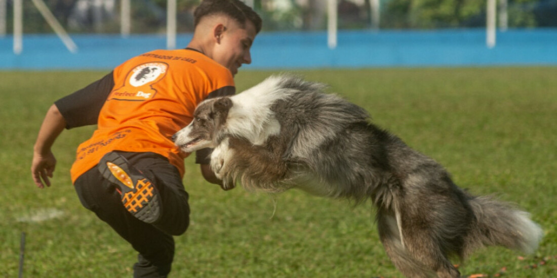 Cidade promove campeonato Brasileiro de Adestramento