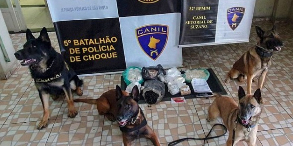 Com apoio de Canil, drogas e munições são apreendidas