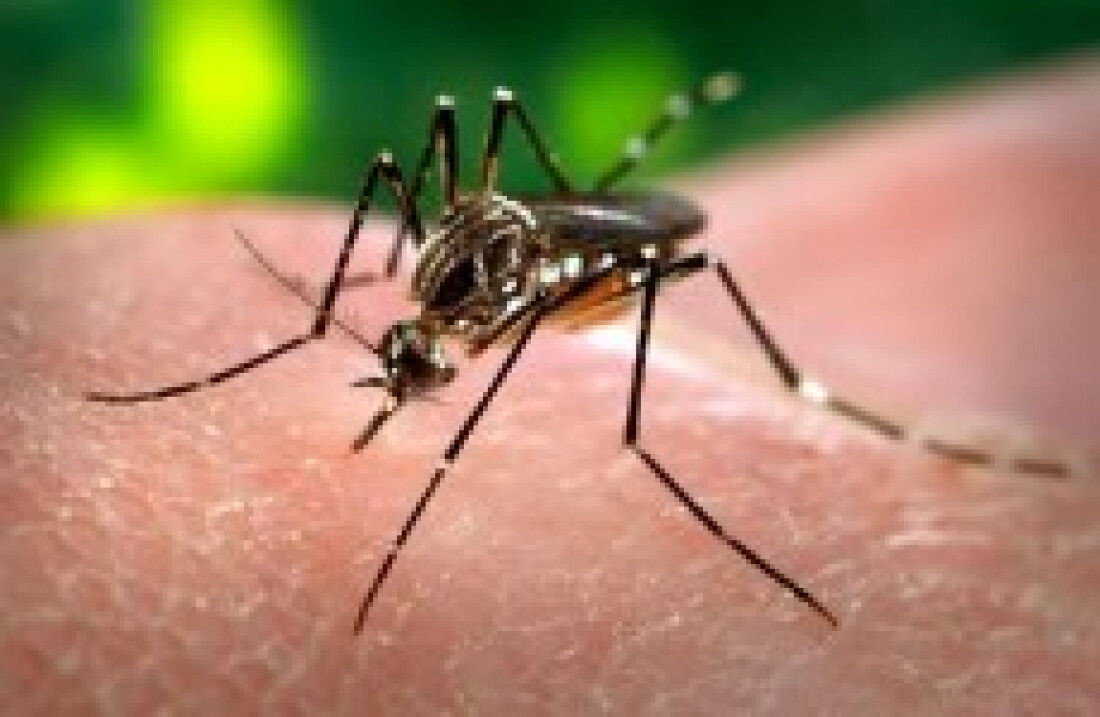 Suspeitas de dengue crescem 178% e 843 pessoas morrem
