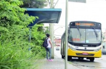 Ponto de ônibus com mato alto revolta passageiros