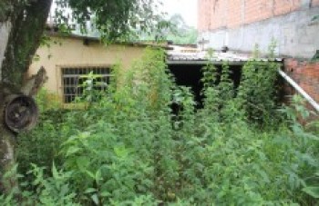 Casa desocupada causa transtorno para população