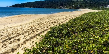 Ocupação hoteleira deve registrar alta em todo país durante feriado