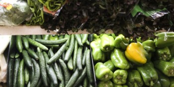 Feira Nacional da Reforma Agrária começa quinta-feira em São Paulo
