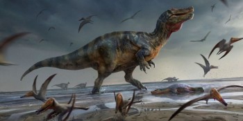 Cientistas acham restos do maior carnívoro que já existiu na Europa