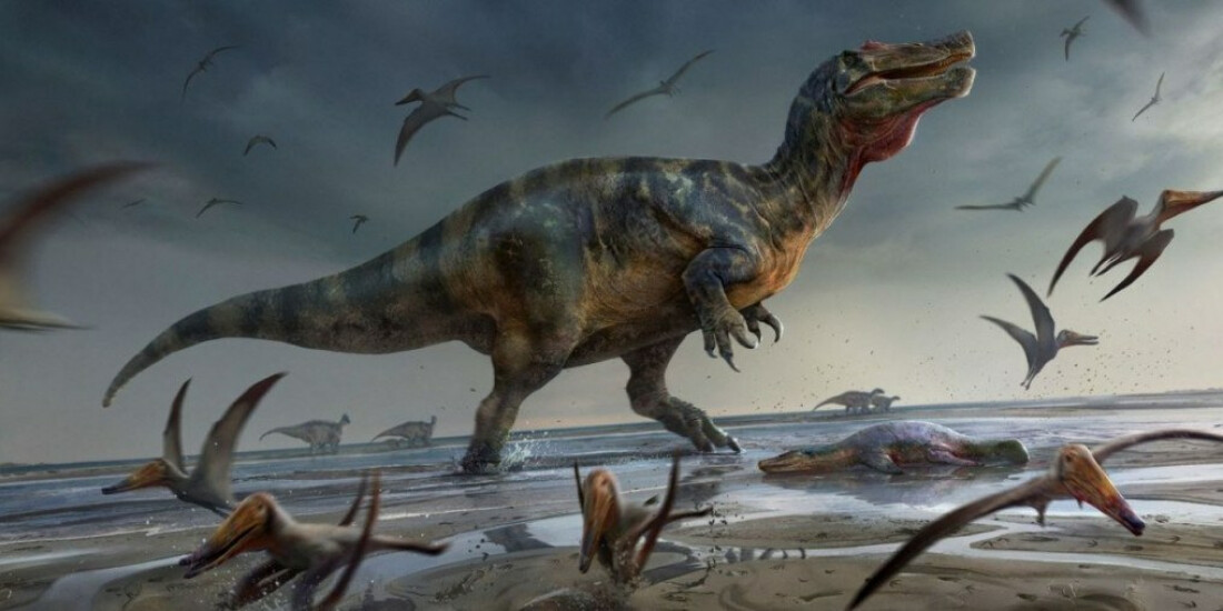 Cientistas acham restos do maior carnívoro que já existiu na Europa