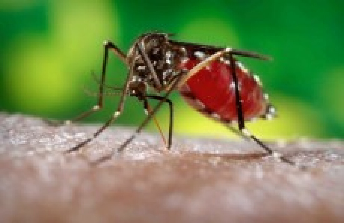 Saúde confirma 230 casos de microcefalia
