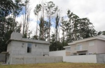 Eucaliptos preocupam moradores