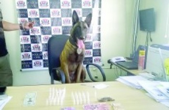 Polícia Civil apreende entorpecentes
