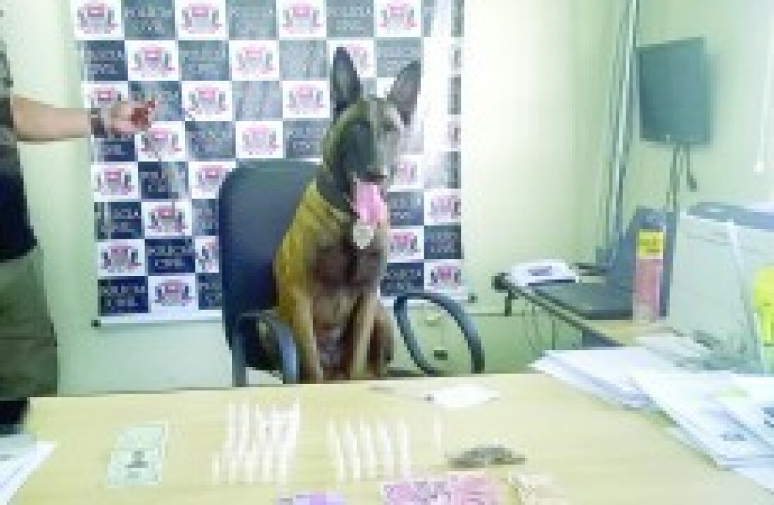 Polícia Civil apreende entorpecentes