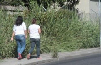 Pedestres disputam espaço com mato alto em calçada