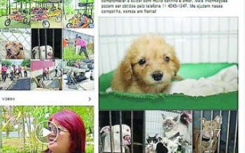 Postagem de Mamoru atinge um milhão de visualizações