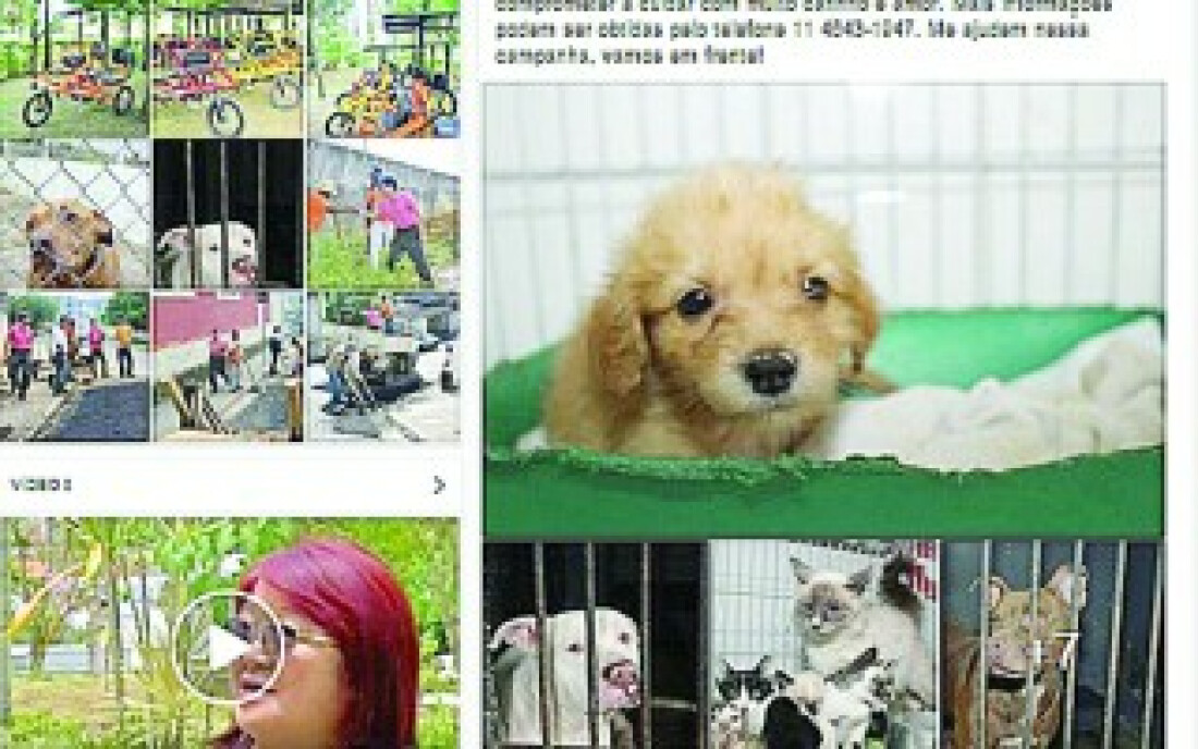 Postagem de Mamoru atinge um milhão de visualizações