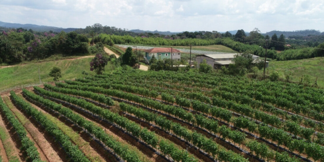 Plano Mogiano pagará até R$ 10 mil por agricultor