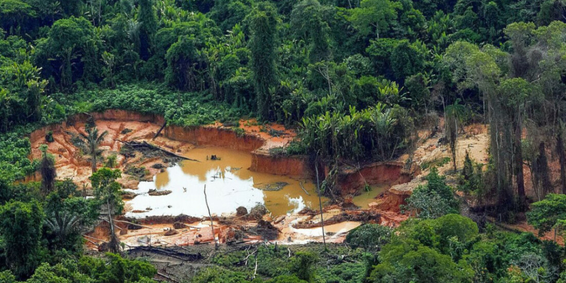 Mulher é encontrada morta em Terra Indígena Yanomami