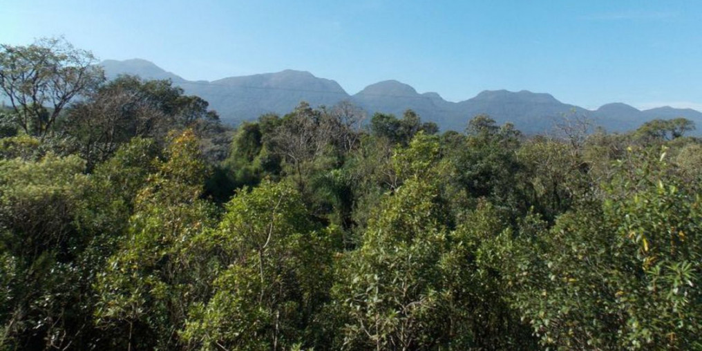 Jardim Botânico do RJ promove a Semana da Mata Atlântica