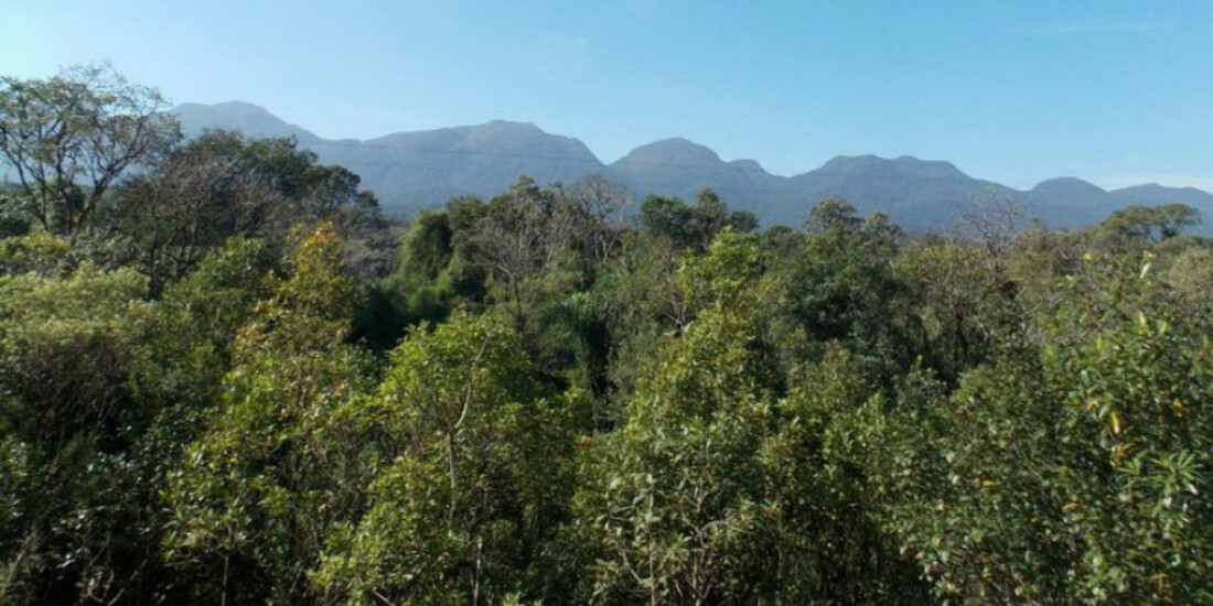 Jardim Botânico do RJ promove a Semana da Mata Atlântica