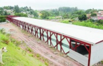 Interdição parcial continua em avenida na Fonte Áurea