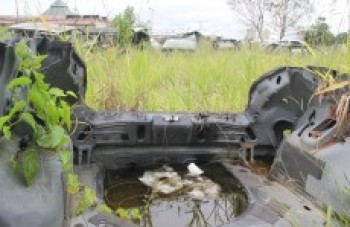 Água parada é risco em pátio da prefeitura abandonado