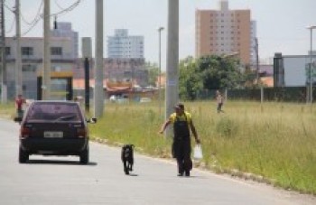 Mato em calçada obriga pedestres a andarem na rua