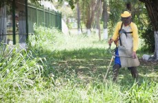 Praça Zumbi dos Palmares e ruas da Vila Lúcia recebem limpeza: