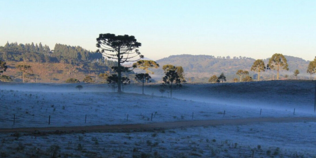 Urupema, em Santa Catarina, registra menor temperatura do ano