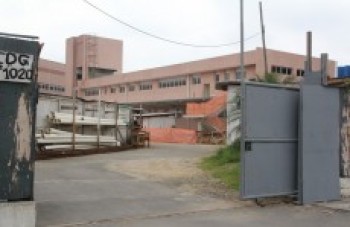 Casos de câncer triplicam na região