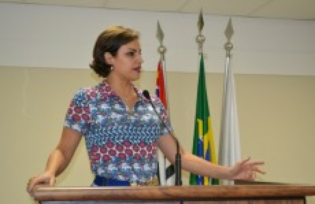 Vereadora Jeruza Reis solicita desinsetização em bairros de Poá