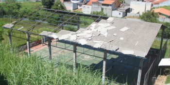 Cidades da região registram queda de árvore e de energia elétrica