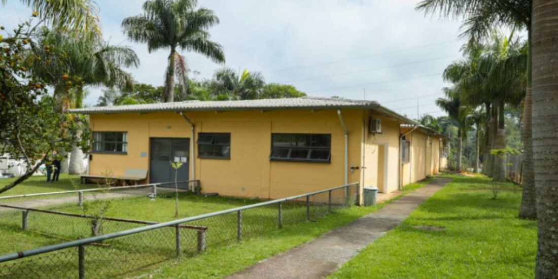 Evento de Adoção de pets será neste domingo