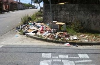 Acúmulo de lixo atrai ratos e insetos