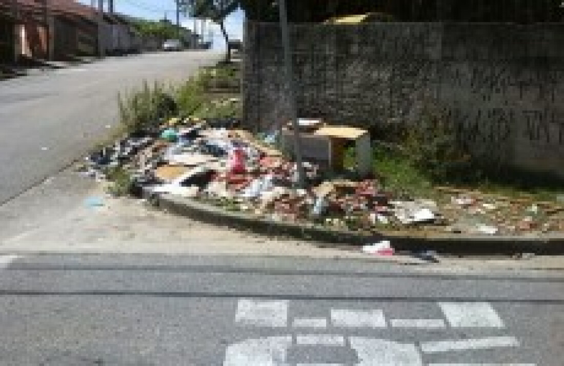 Acúmulo de lixo atrai ratos e insetos