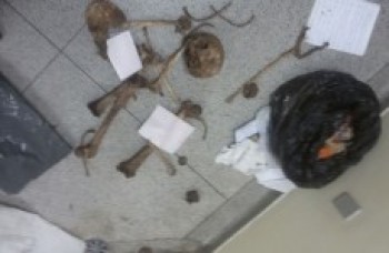 Delegacia central vai investigar ocorrência