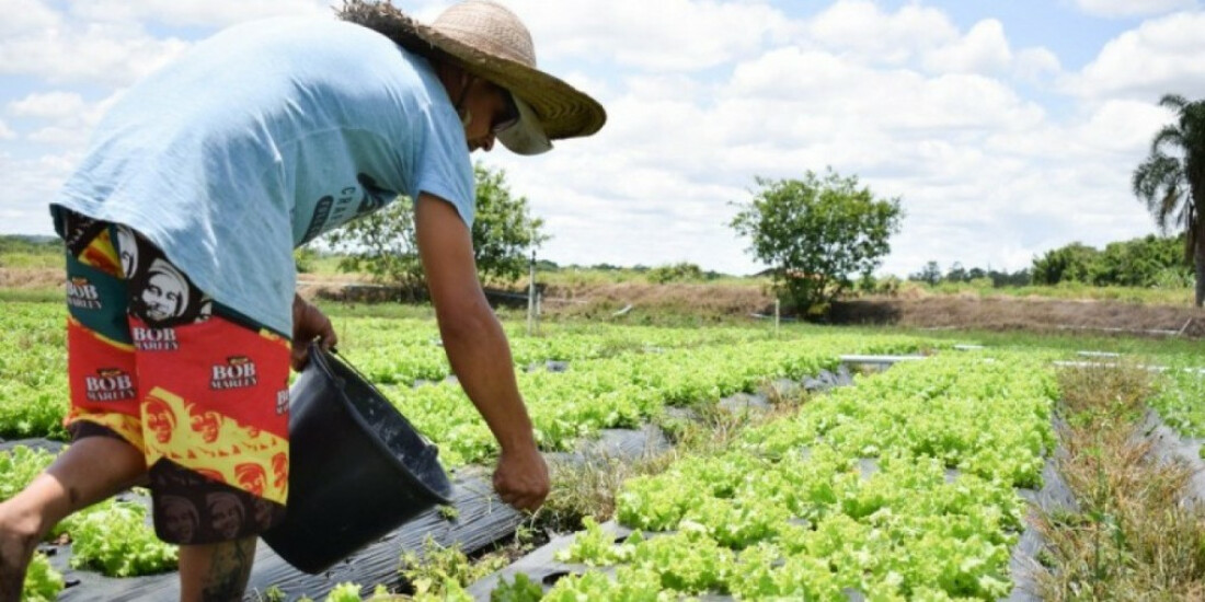 Clima frio pode afetar preço e produção agrícola da região