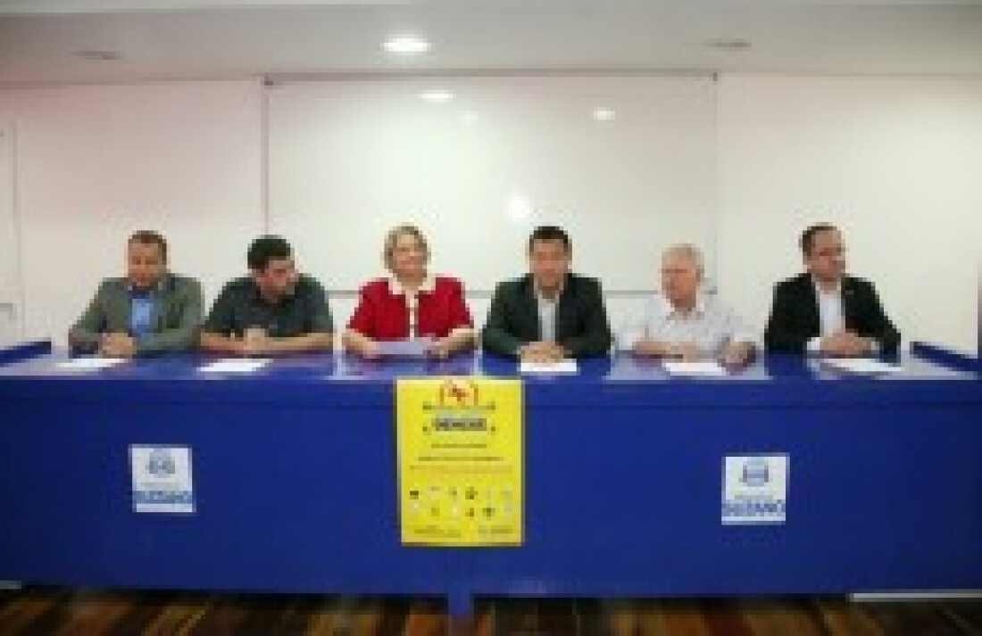 Viviane assume e anuncia ações
