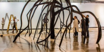 Centenário de Frans Krajcberg é celebrado com exposição no MuBE