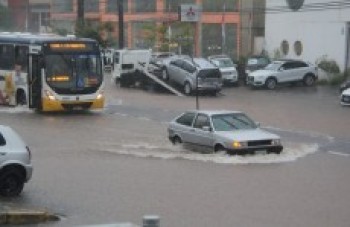 Quedas de árvores e pontos de alagamentos geram caos