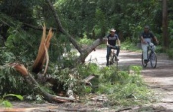 Prefeituras mobilizam várias equipes para ajudar nos reparos