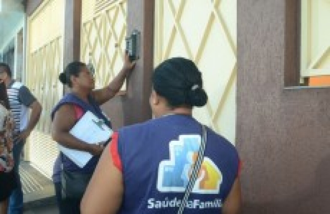 Mutirão encontra 291 focos