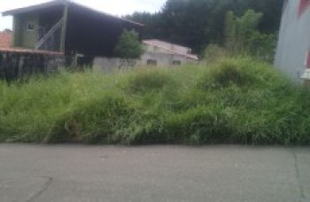 mato alto impede pedestres de andarem na calçada: