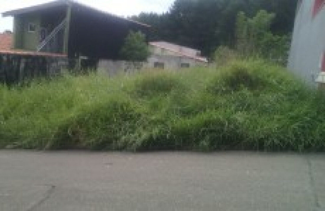 mato alto impede pedestres de andarem na calçada:
